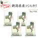 新米　当日出荷 お米 20kg 新潟県産コシヒカリ 5kg×4 特A評価 令和元年産 送料無料 (一部地域を除く)