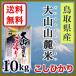 令和元年産 鳥取県産 白米 大山山麓米 こしひかり 10kg(1袋)