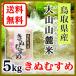 令和元年産 白米 鳥取県産 きぬむすめ 5kg