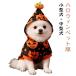 �y���^���E���^���z���� �n���E�B�� �p�[�J�[ �W���b�N�I�[�����^�� ���ڂ��� �R�X�v�� ���� �y�b�g�� �h�b�O�E�F�A �H�~ ������� ���킢�� ����