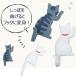 �}�O�l�b�g�t�b�N �L Cat tail �� �J�M ���� ���[ ���� �f���� �z���C�g�{�[�h �①�� �˂� �|�C���g���� �֘A�摜4