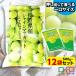 31%OFF конняку желе .... Nagano префектура производство автомобиль in мускат конняку Mini желе (1 пакет 500g/ примерно 30 шт степень *12 пакет ). покупка 