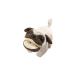  животное очки подставка ( Pug )