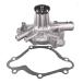 ACDelco 252-601 Professional Water Pump Kit