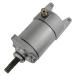 Caltric Starter Compatible with Honda 31200-MN9-013 31200-MN9-003