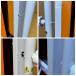 ���Á@�����j���O�}�V�� ���[�������i�[ �E�H�[�L���O�}�V��  �܂肽���� ���[���E�H�[�J�[ ������ �R���p�N�g�E�H�[�J�[   ���� �t�B�b�g�l�X�@TAN-215 �֘A�摜4