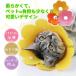�G���U�x�X�J���[ �L �� �\�t�g ���r�ߖh�~ �X�g���X�y�� �y�� �� �L ���킢�� �������낢 ������ �_�炩�� �ȒP���� ���^ �p�㕞