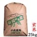 送料無料 新米 玄米25kg 新潟県産コシヒカリ25kg 令和元年 新潟県産こしひかり玄米 25キロ 米 産地直送