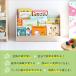 ��̓� �G�{���b�N �G�{�I �G�{���[ �X���� �R���p�N�g ���[�^�C�v  �u�b�N���b�N �{�I �{���[ �q�ǂ� �q�� Kids Low Book Rack -lora- ILR-3579 �֘A�摜2