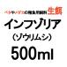  сырой приманка слон обод si500ml + приманка 10 таблеток in fzo задний бойцовая рыбка .me Dakar. . рыба оптимальный! бесплатная доставка кошка pohs рейс надеты день указание не возможно 