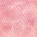  ho ru Bay n прозрачный акварель краситель glanyure-ting цвет z5ml WG503 Sakura 