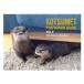 カワウソ コタロー ハナ ミニフォトブック Vol.2 ポストカード 写真集 動物 アニマル かわうそ グッズ