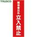 ȥ饹 TRUSCO ޥͥåɸ 360mmX120mm ط԰ʳΩػ  (1) ֡TMSKTT-3612