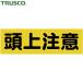ȥ饹 TRUSCO ɸ ޥͥåɸ 120mm360mm Ƭ  (1) ֡TMSZCY-1236