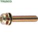 ȥ饹 TRUSCO ʥƬ¶ȹͤ P4 ᡼ M610 50 ʤФͺ¶+JISå㡼դ (1Pk) ֡B51-0610