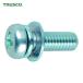 �ȥ饹�� TRUSCO �ʥ�Ƭ�¶��ȹ��ͤ� P��4 ������ M3��6 95���� �ʤФͺ¶�+JIS������å��㡼�դ��� (1Pk) ���֡�B751-0306