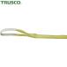 ȥ饹 TRUSCO ݥꥨƥ륹 JIS3 ξü 50mm3.0m (1) ֡TPS50-30