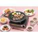Iwatani скала . промышленность yakiniku plate (L) (1 листов ) номер товара :CB-A-YPL