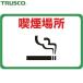 TRUSCO(ȥ饹) ޥͥåɸ 300450 ʱ (1) TMH-3045-F