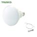 �ȥ饹�� TRUSCO LED������� 50W LED�� (1��) ���֡�RTL-50W