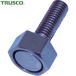 ȥ饹 TRUSCO ϻѥܥȷޥͥåȥۥ M5S10L10 27N (1) ֡TNBMG-510