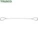 ȥ饹 TRUSCO ̳ݤ磻䡼 磻䡼ץ A ߥå 6mm1m (1) ֡TWAL-6S1