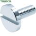 ȥ饹 TRUSCO ʿͤ Ƭꥳ M6 16 L20 1 (1) ֡DS-AB261