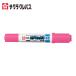 �T�N�� �s�O�}�b�N�X�c�C�� �� (1�{) ZPK-T20