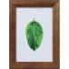 Kenko 1250173 фоторамка каучуковое дерево Brown PS-GM-BR PS-GM-BR