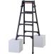  Hasegawa лестница двоякое применение эластичный стремянка ( Black Label )RYZB-12a(10909) RYZB-12A