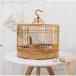  клетка для птиц бамбук производства складной bird клетка коралл пластик бамбук . "дышит" ручная работа традиция прикладное искусство . уборка простой маленькая птица товары для домашних животных документ птица длиннохвостый попугай перевозка крепкий 