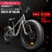  outlet fatbike 20 inch plating fat tire change speed off-road coastal area snow road EIZER F120