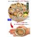 ����� �A���r ���h�g�p 1kg�i��8����j���� �h�g �Ő��̓� � �𓀂��邾�� �������� �h�V �M�t�g ���Ε� �v���[���g FF �|�C���g���p ���� �֘A�摜1