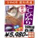 こしひかり10kg(白米)令和元年愛知県産/送料無料【北海道お客様300円追加料金・沖縄県一部離島地域は重量別特別送料が加算されます あすつく対応 休業日を除く