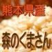 新米 森のくまさん 10kg(玄米） 令和元年産 熊本県産 　