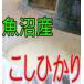  белый рис рыба болото производство .....5kg. мир 7 год производство Niigata префектура производство 