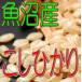  неочищенный рис рыба болото производство .....2kg. мир 7 год производство Niigata префектура производство 