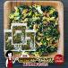  местного производства сухой овощи зеленый Mix шпинат masimasi300g×3 молния есть капуста шпинат морковь dry овощи высушенный овощи бесплатная доставка сохранение еда 