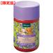 【限定品】クナイプ バスソルト スミレの香り 850g【kneipp1】