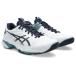  Asics asics теннис обувь мужской SOLUTION SPEED FF 4so дракон shon скорость FF4 все пальто для 1041A532-102