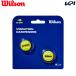 [ в тот же день отгрузка ] Wilson Wilson теннис аксессуары US OPEN TENNIS BALL DAMPENERS 2 PACK виброгаситель 2 штук самосвал na-WR8444401001