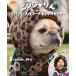  Cliff mei ярд gKRIFF MAYER DOG защита горла "neck warmer" капот type шляпа baby боа двусторонний балаклава Ninja rin 