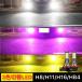  противотуманая фара LED 3 цвет переключатель противотуманые фары H8 H9 H11 H16jp HB4 H3 PSX26w PSX24 клапан(лампа) белый розовый желтый цвет 2 шт. комплект 