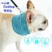  собака одежда прохладный холодный хочет собака одежда охлаждающий холодный ... средний . предотвращение ошейник собака сопутствующие товары для домашних животных прохладный полотенце 