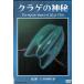 медуза. бог .The Mystic World of JELLY FISH