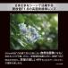 OM SYSTEM �����p�����Y�@�}�C�N���t�H�[�T�[�Y M.ZUIKO DIGITAL 25mm F1.8 II �֘A�摜2