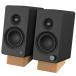 CREATIVE Hi-Fi настольный динамик Creative XF1 SP-XF1-BK черный 