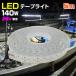 LEDơץ饤 ɿ 24v 5m  ܡ    ǥå饤  LED 饤  140w ȥå   ԥ󥰥 ܾ