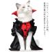  Halloween костюмированная игра кошка костюмированная игра собака домашнее животное одежда костюм . женщина женщина король Mahou Tsukai . женщина чёрный кошка кошка для одежда кошка менять оборудование преображение симпатичный 