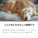 �y�b�g�^�I�� �}�C�N���t�@�C�o�[ ���z�� ���� �� �L �唻 �h���C�^�I�� �y�b�g�p�^�I�� �y�b�g�p�o�X�^�I�� 1�� ���� �֘A�摜4